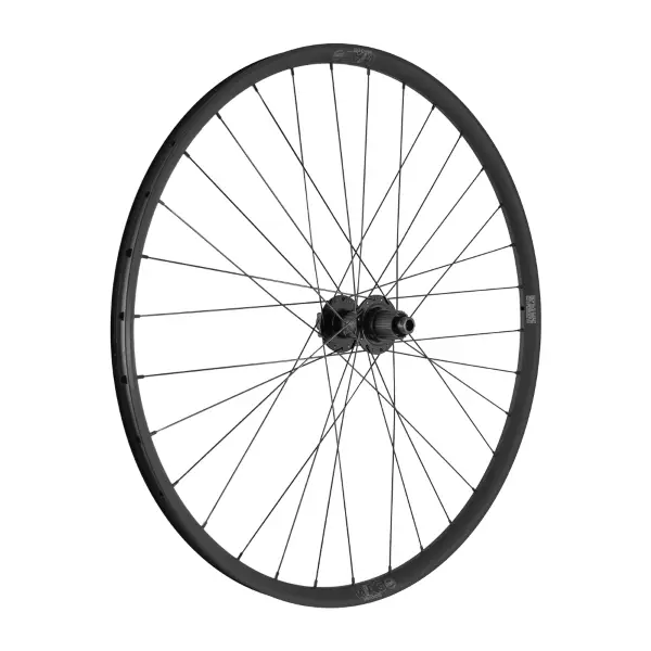 ridewill3999994