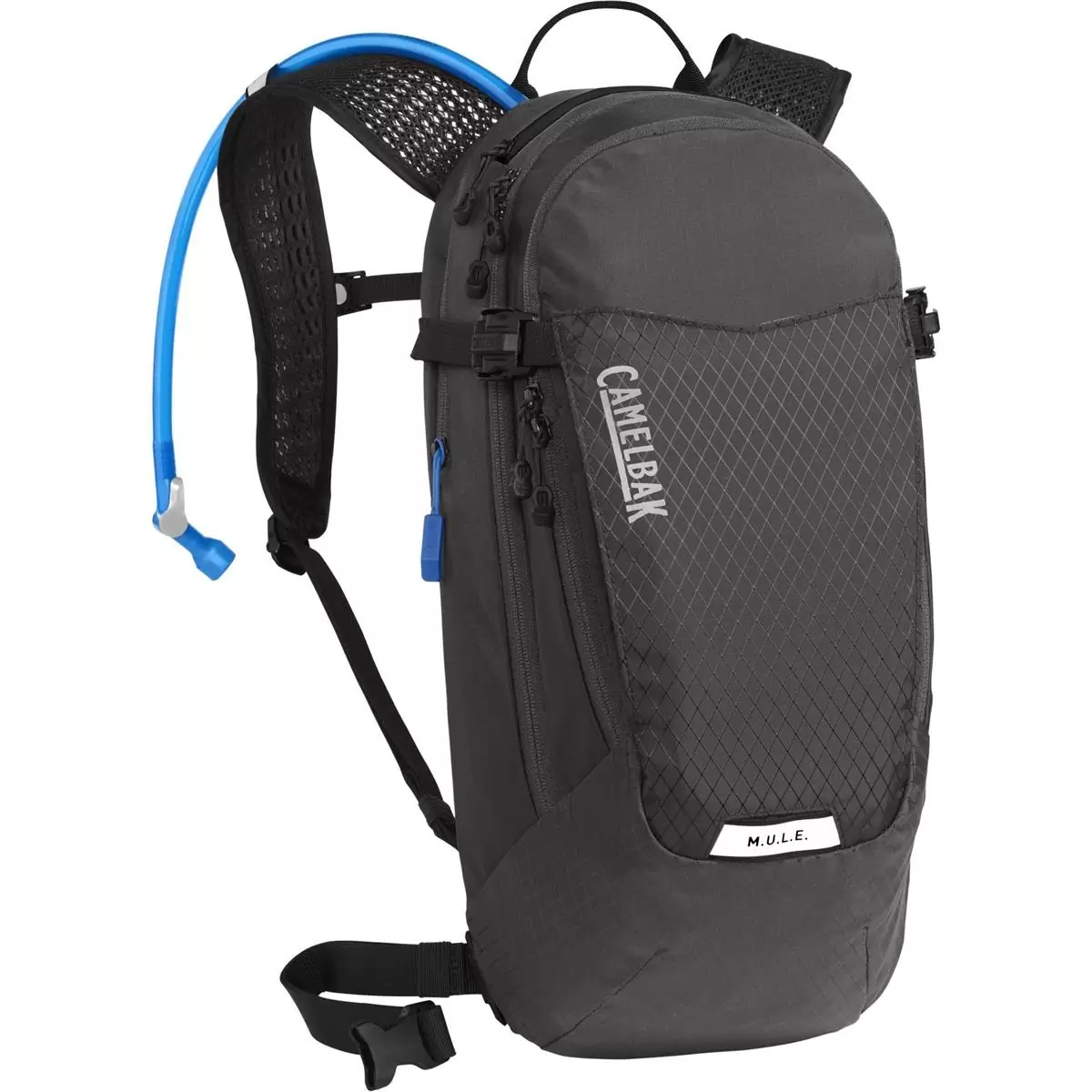 ridewill4003008