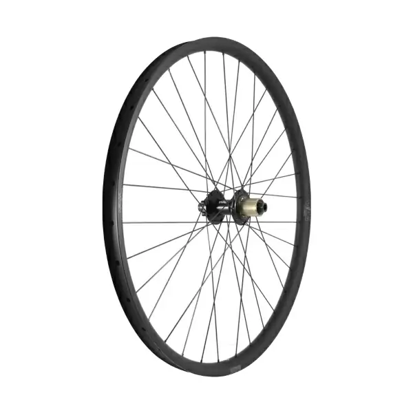 ridewill4009204