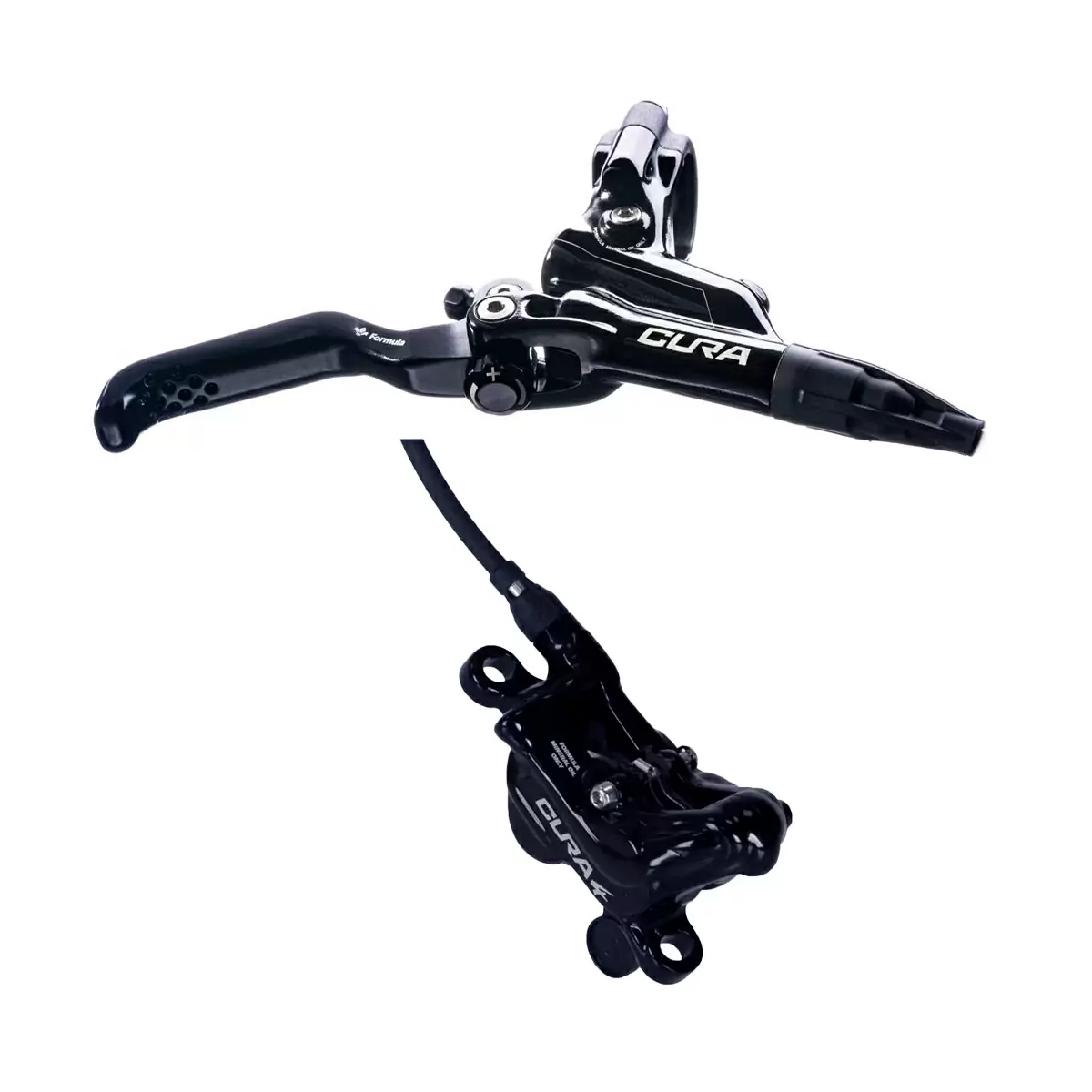 ridewill4020966