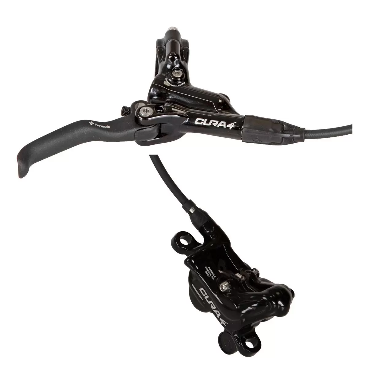 ridewill4020994