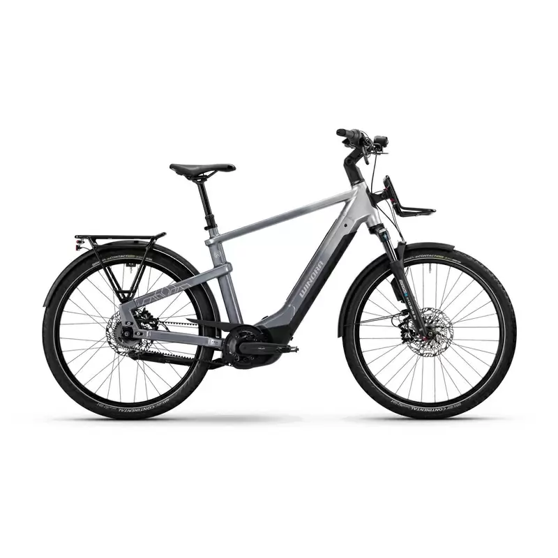 ridewill4029554