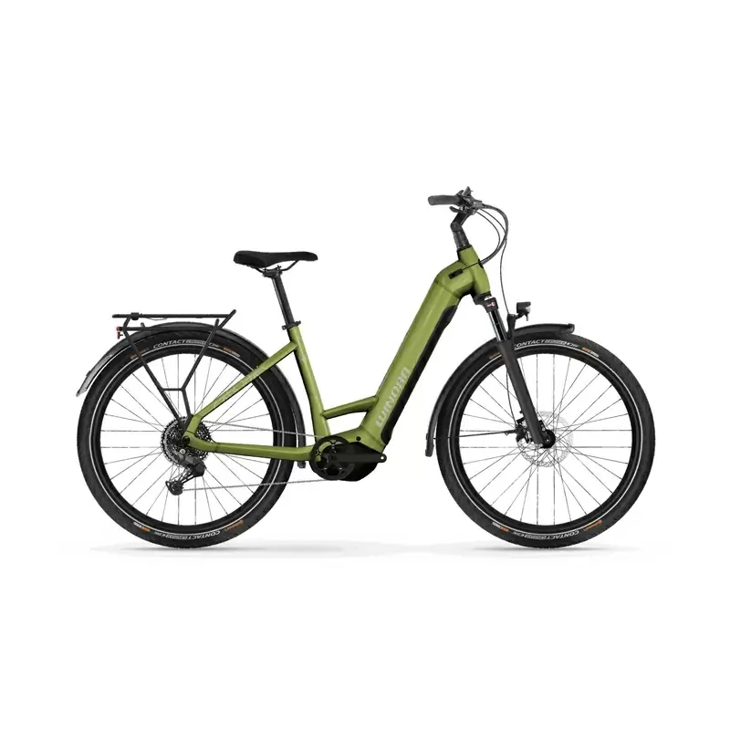 ridewill4029645