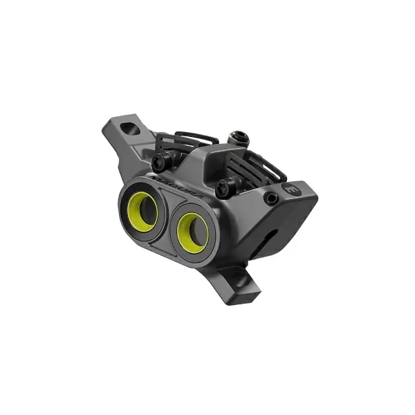 ridewill4080570