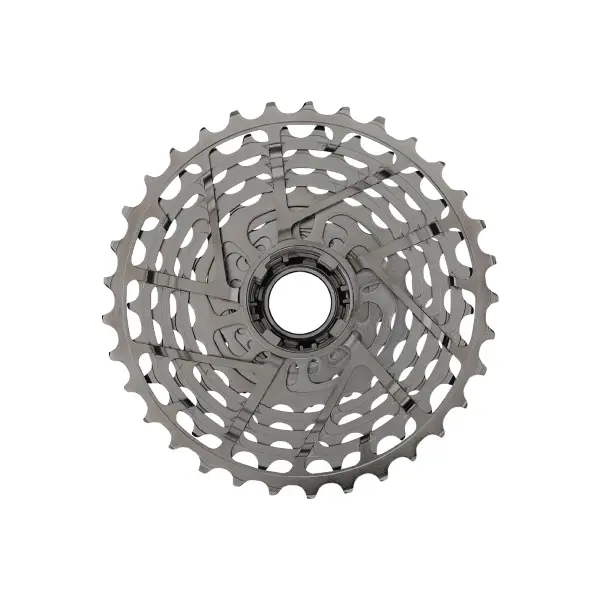 ridewill4084774