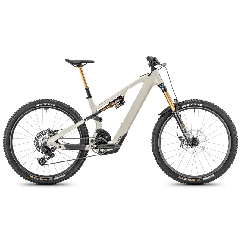 ridewill4089581