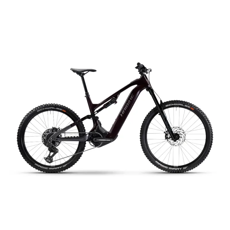 ridewill4090171
