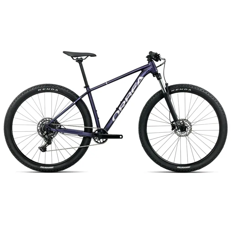 ridewill4124338
