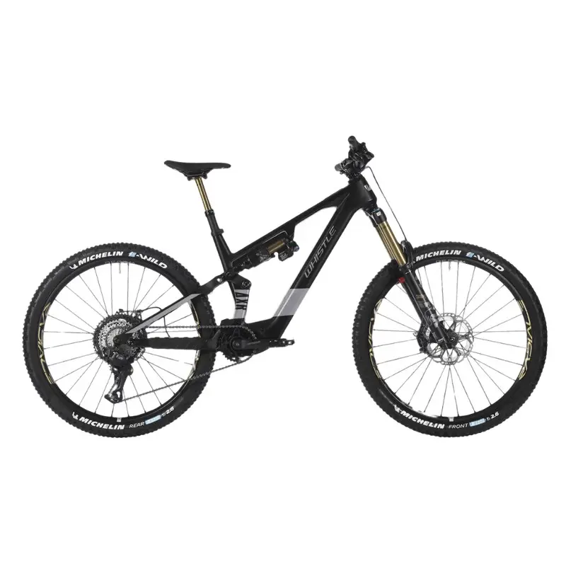 ridewill4136961